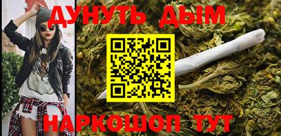сатива Аргун