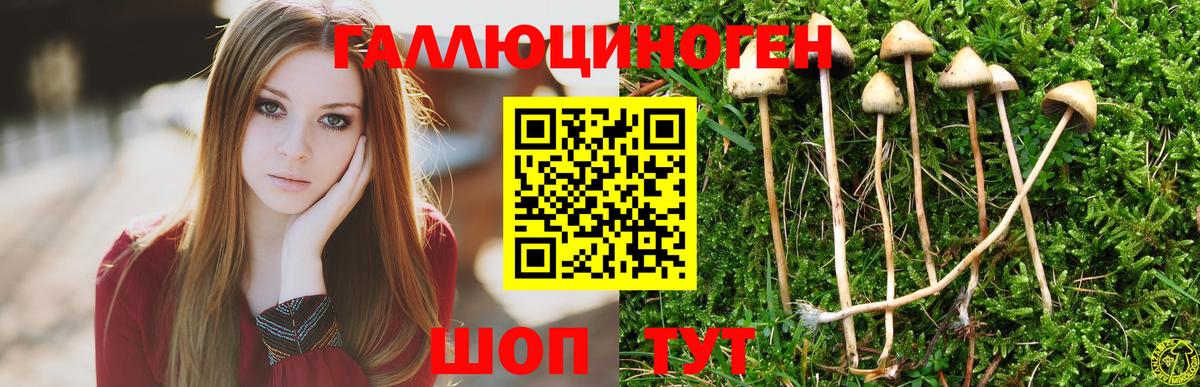 Галлюциногенные грибы мухоморы Белорецк