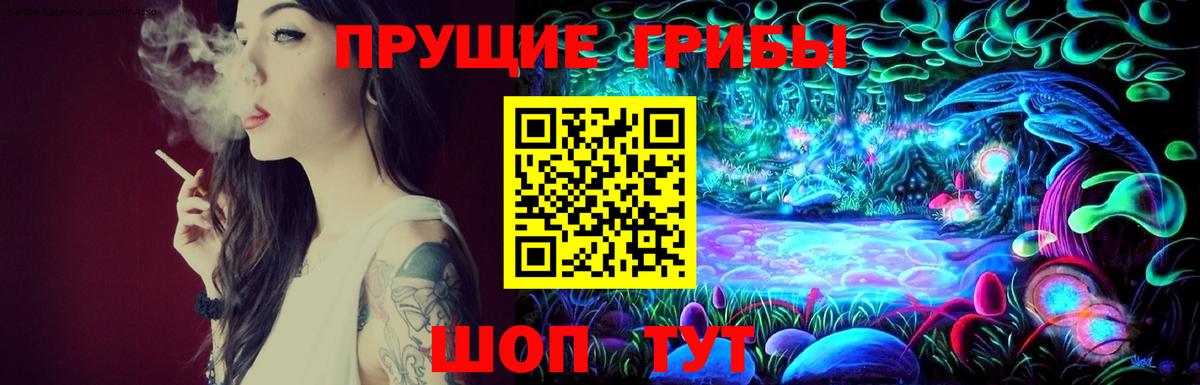 Псилоцибиновые грибы MAGIC MUSHROOMS  Вход с VPN  Белорецк  Галлюциногенные грибы Psilocybine cubensis 